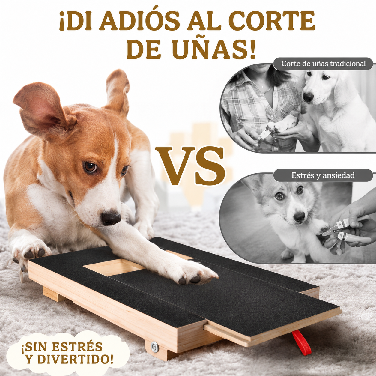 PawCare – Rascador y Limador de Uñas