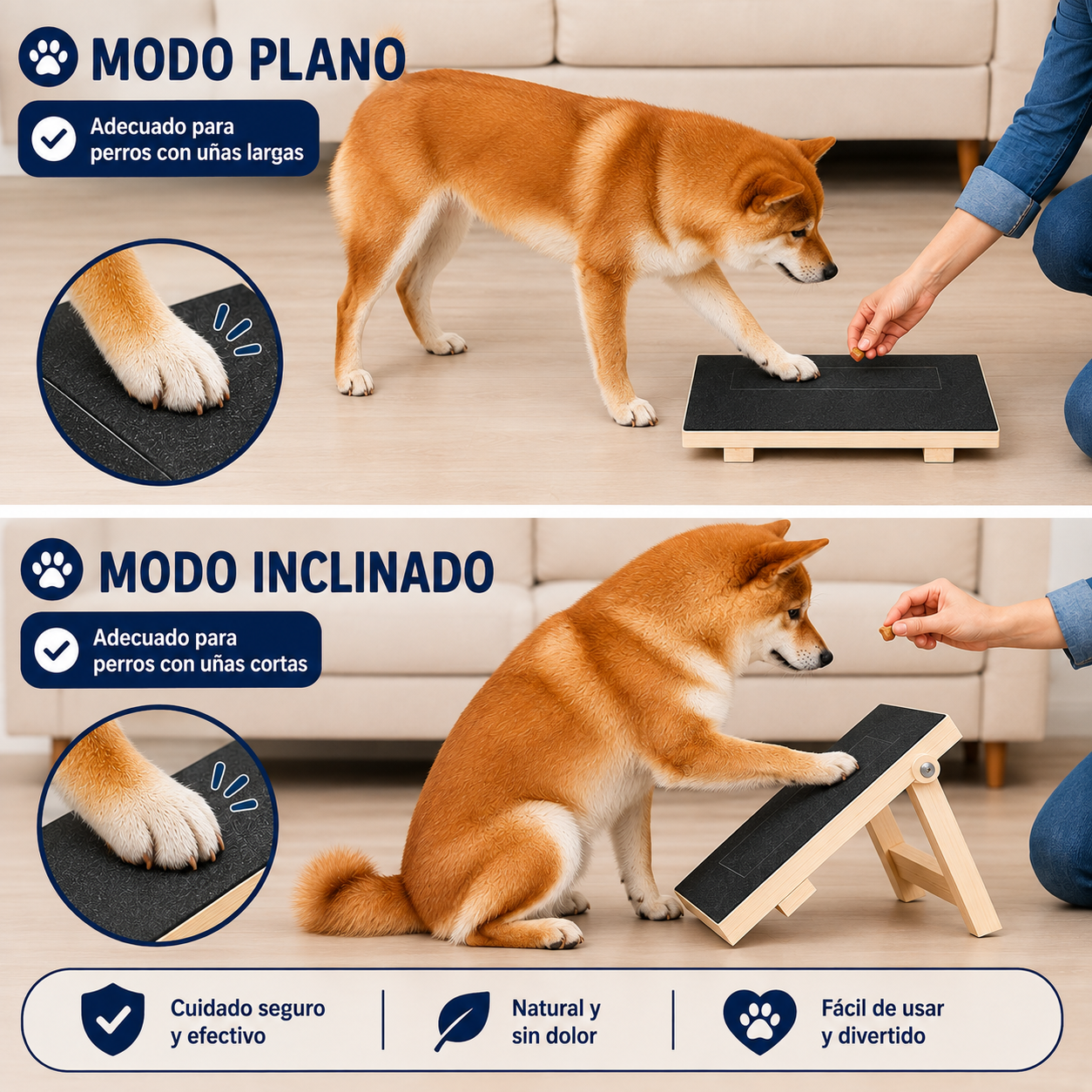 PawCare – Rascador y Limador de Uñas